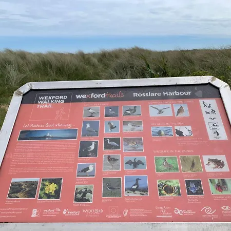 Gasthof St Martin's, Guest Rosslare Harbour