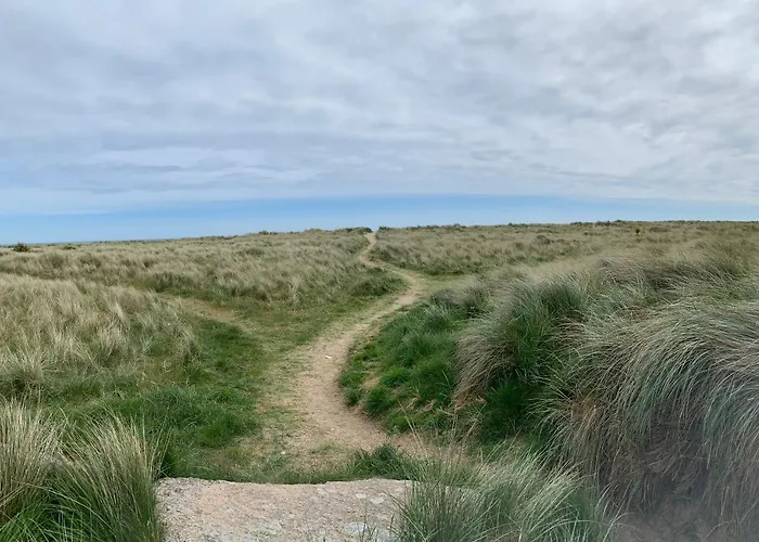 Maison d'hôtes St Martin's, Guest Rosslare Harbour