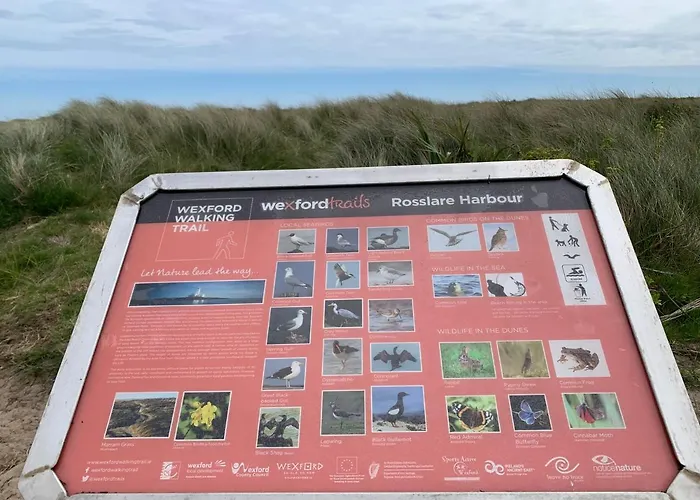 ゲストハウス St Martin's, Guest Rosslare Harbour