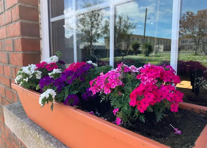 St Martin's, Guest Maison d'hôtes Rosslare Harbour